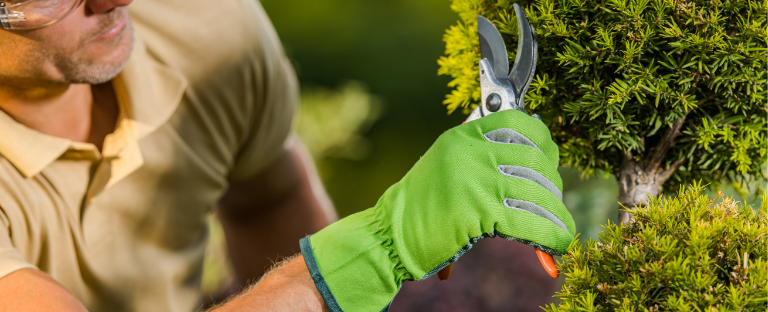 Person Doing Landscaping 